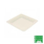 Assiette carrée en pulpe de canne à sucre 20x20 cm - 1 000 pcs|Assiettes jetables|pkgfood