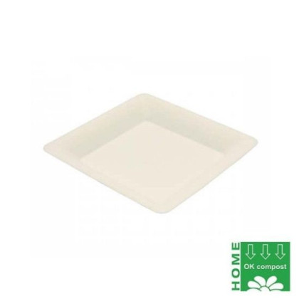 Assiettes jetables|pkgfood